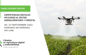 curso competencias digitales