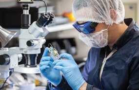 electronics gooch housego jobs electronics gooch housego jobs