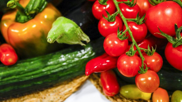 ep archivo frutas y verduras 20260109145103 ep archivo frutas y verduras 20260109145103