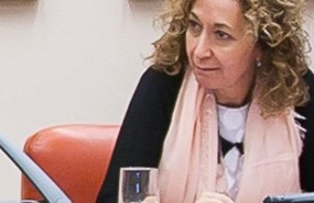 ep ester capella diputadaerc