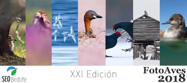 ep foto aves 2018