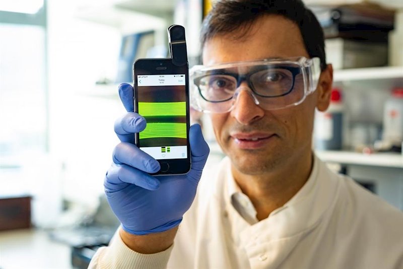ep prueba para detectar e coli en muestras de orina que utiliza una camara de telefono inteligente