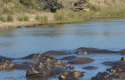 humedalesafrica humedalesafrica
