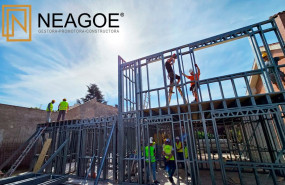 neagoe levante