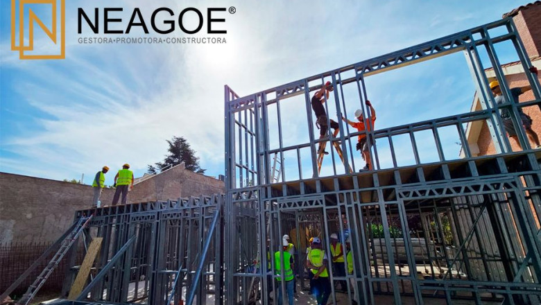 neagoe levante
