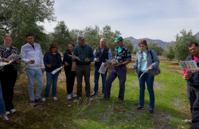 taller vivaoliva de fundacin pepsico en jan 