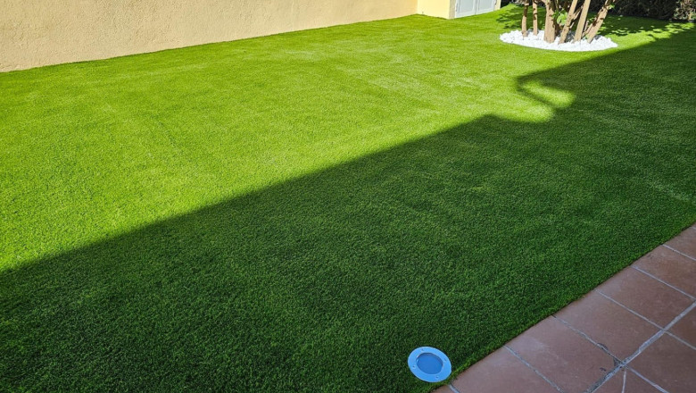 whatsapp image 2024 03 20 at 120436 8 20241024154532 