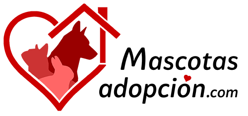 1591266421 mascotas adopcion logo