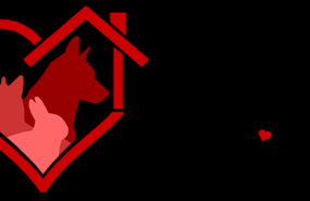 1591266421 mascotas adopcion logo