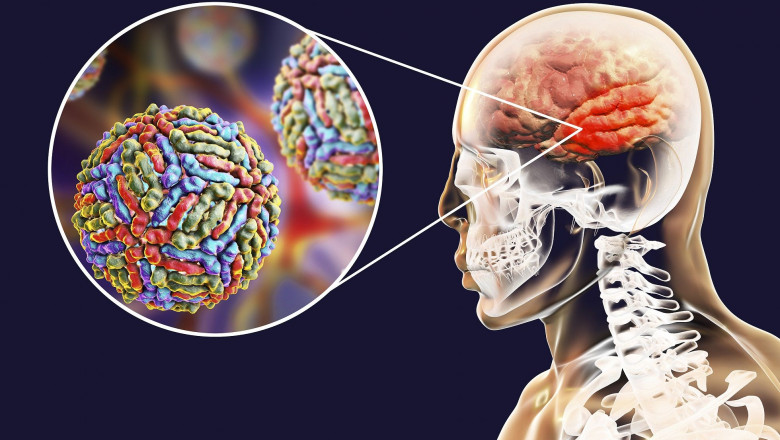 1597822619 virus del nilo comunicae