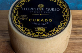 1610638978 floresde queso