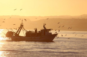 ep archivo   imagen de un barco pesquero 20241220173306