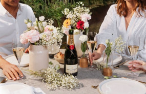ep botella de mot chandon ep botella de mot chandon