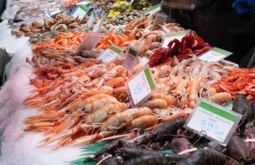 ep detalle de una pescaderia en un mercado catalan ep detalle de una pescaderia en un mercado catalan