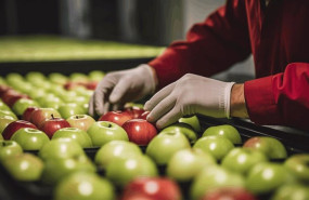ep el sector agroalimentario espanol consolida su expansion en 2025 segun caixabank research
