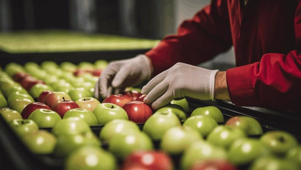 ep el sector agroalimentario espanol consolida su expansion en 2025 segun caixabank research