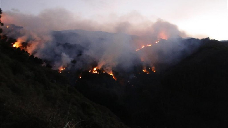 EUROPA PRESS - EUROPA PRESS ep incendiovallesecola islagran canaria 20190818121702