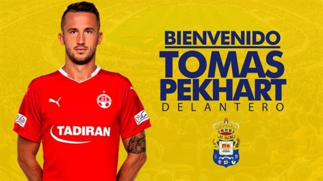 ep tomas pekhartpalmas