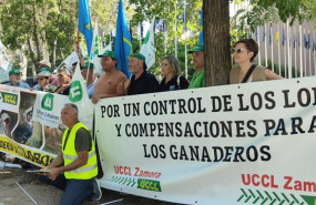 ep union de uniones pide a la ue una directiva europea para la proteccion frente al lobo y amenaza