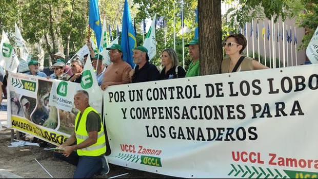 ep union de uniones pide a la ue una directiva europea para la proteccion frente al lobo y amenaza