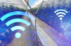 foto1 20240306125855 foto1 20240306125855