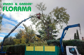 podas florama podas florama