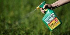 roundup-monsanto-lourdement-condamne-aux-etats-unis roundup-monsanto-lourdement-condamne-aux-etats-unis