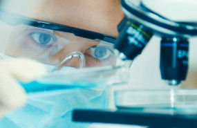 1595233056 shutterstock450321097