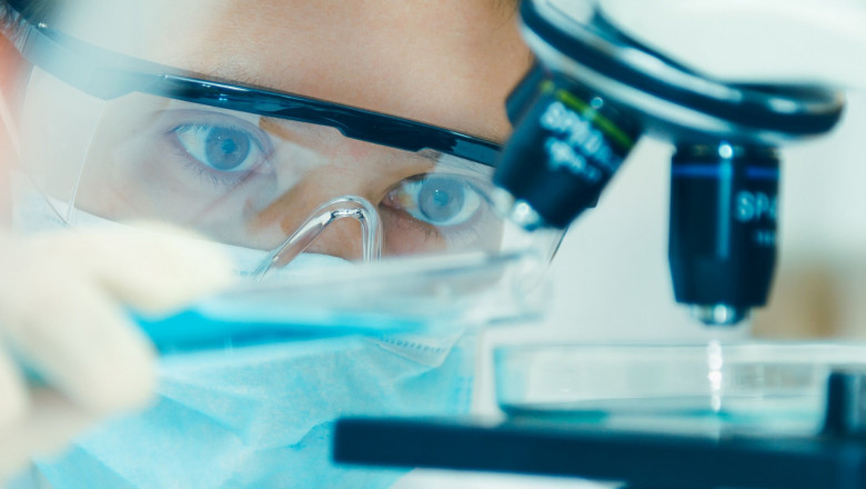 1595233056 shutterstock450321097