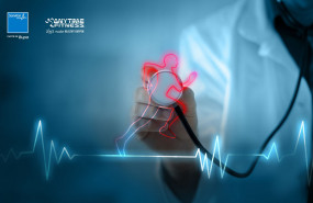 1618332150 sanitasaf 3 