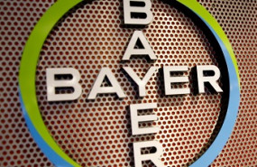 bayer portada