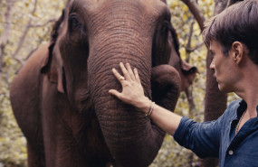 camboya20 20240403111855 