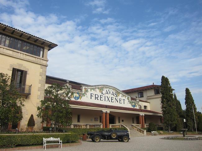 cavas freixenet cavas freixenet