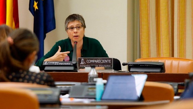 ep amaia perez orozco profesora de economia aplicada de la ucm comparece ante la comision de