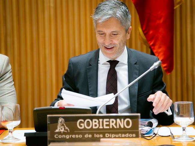 Fernando Grande Marlaska, ministro del Interior | CONGRESO ep fernando grande marlaska ministrointerior