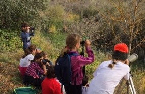 ep jovenes aventurerosseobirdlife