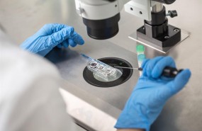ep laboratorio 20180514130003 ep laboratorio 20180514130003