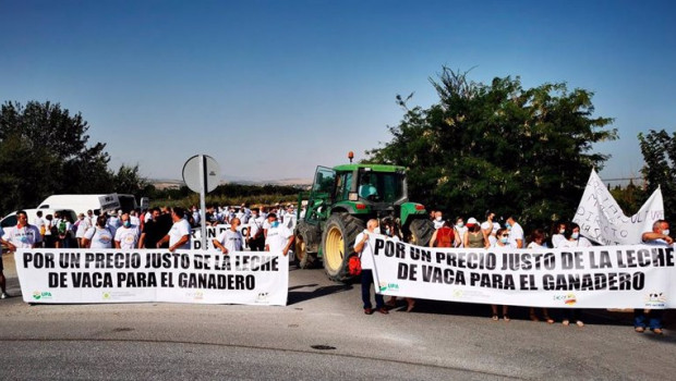 ep manifestacion de ganaderos por los precios insuficientes de la leche