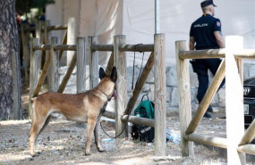 ep un perro de rastreo y un agente de la guardia civil en cercedilla en el centro base del