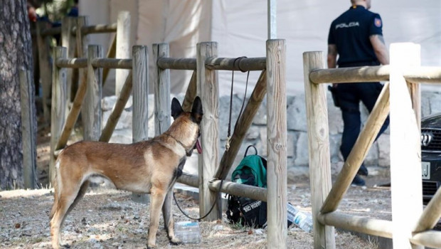ep un perro de rastreo y un agente de la guardia civil en cercedilla en el centro base del