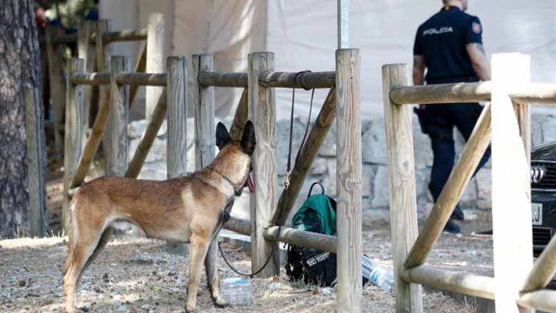 Un perro de rastreo y un agente de la Guardia Civil en Cercedilla, en el centro base del dispositivo de búsqueda de la exesquiadora Blanca Fernández Ochoa, desaparecida en la sierra de Madrid el pasado 23 de agosto. | Óscar J.Barroso - Europa Press ep un perro de rastreo y un agente de la guardia civil en cercedilla en el centro base del