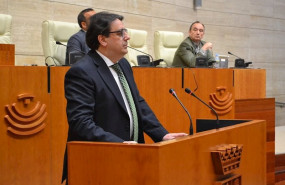 ep vergeles en su comparecencia en la asamblea para hablar sobre la situacion del coronavirus en