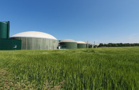 shutterstock 2311667083 shutterstock 2311667083