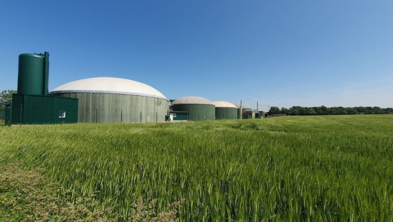 shutterstock 2311667083